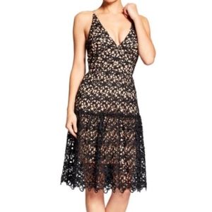 Dress the Population Lily Crochet Lace Dress in Black/Nude Size‎ Small